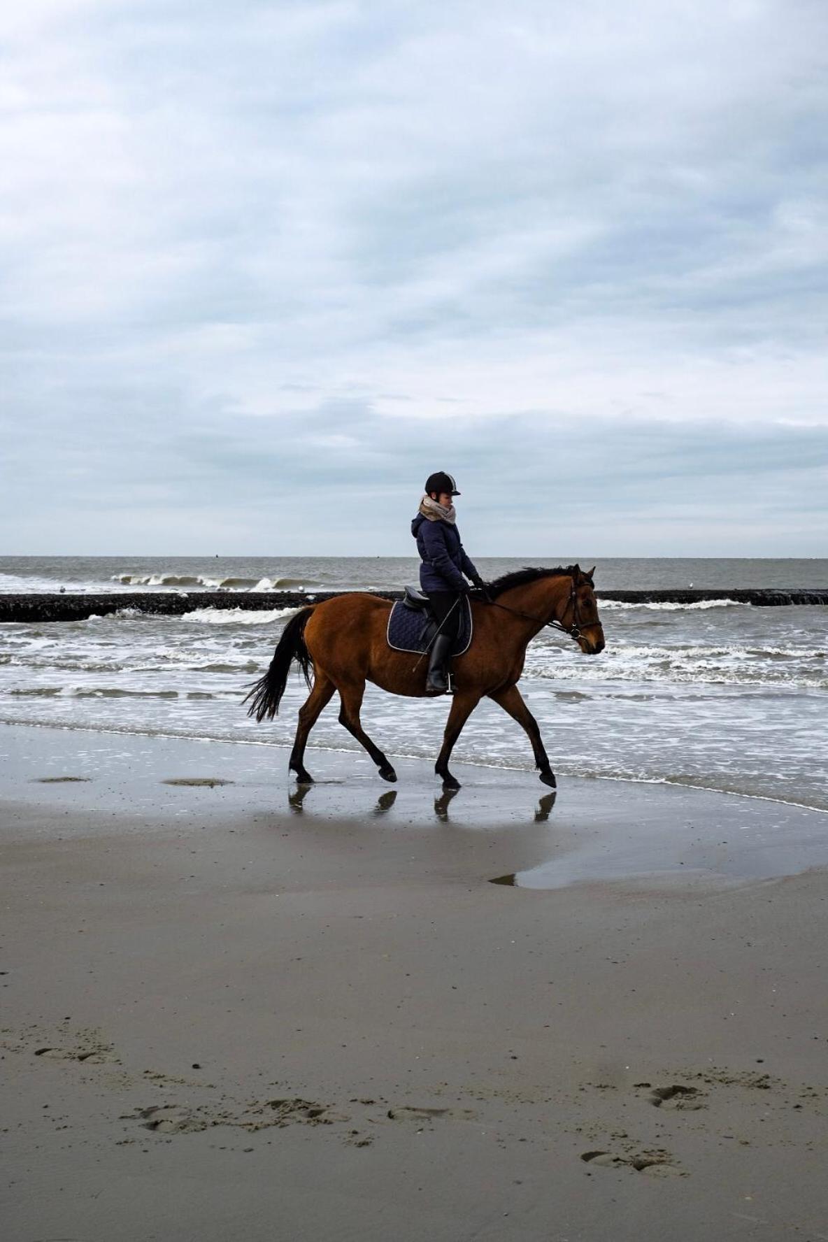 Hotel Haus Am Norderney